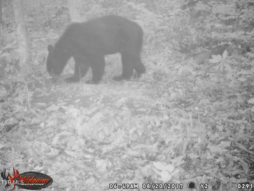 Photo #27: 17532 Phillips Road