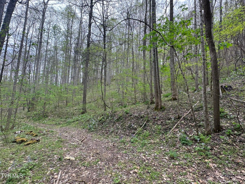 Photo #9: 10318 Caney Valley Road