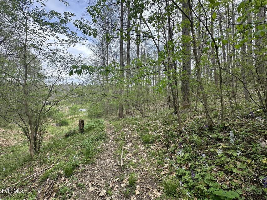 Photo #10: 10318 Caney Valley Road