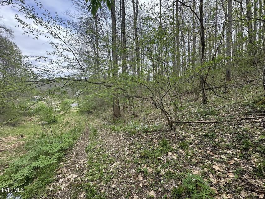 Photo #11: 10318 Caney Valley Road