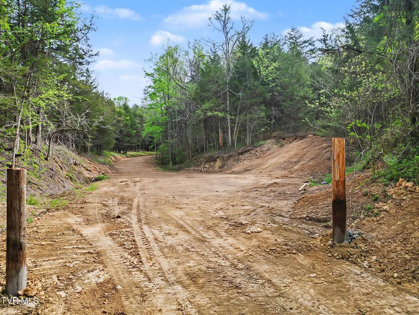 Photo #17: 2692 Bear Creek Road