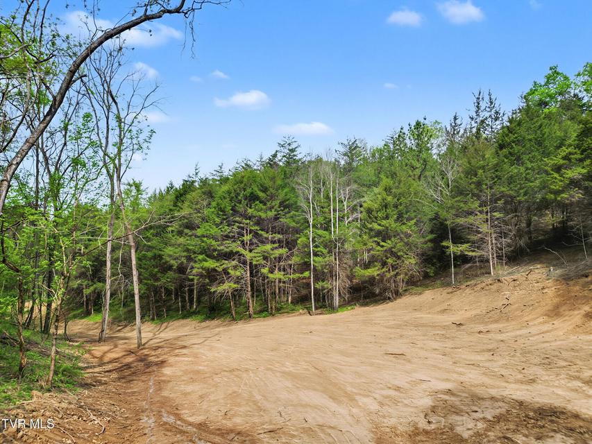 Photo #5: 2692 Bear Creek Road