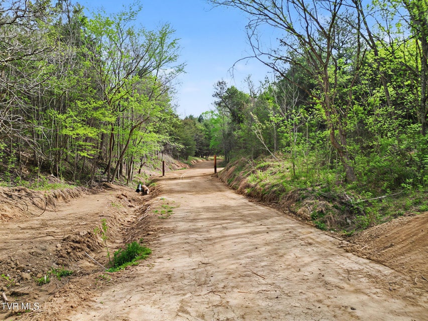 Photo #4: 2692 Bear Creek Road