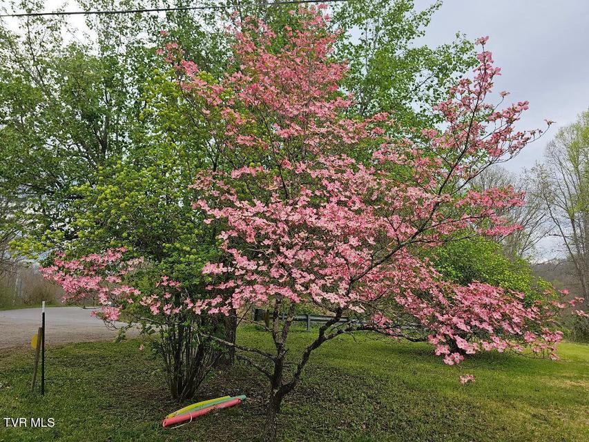 Photo #4: 12702 Crab Orchard Road