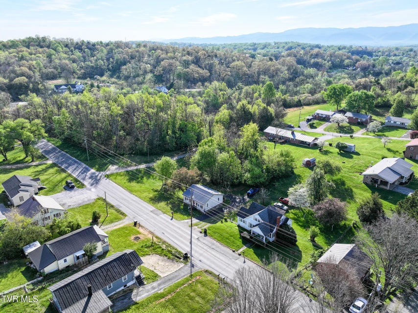 Photo #36: 501 Mckee Street