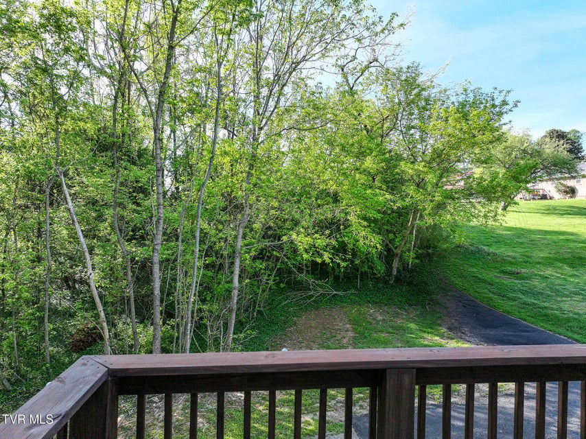 Photo #31: 501 Mckee Street