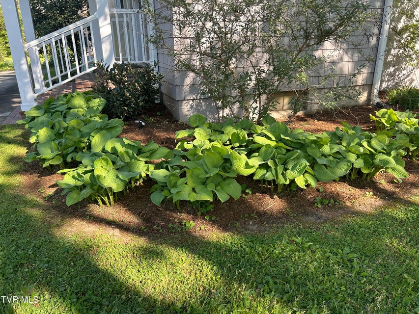 Photo #62: 210 Clifton Heights Road