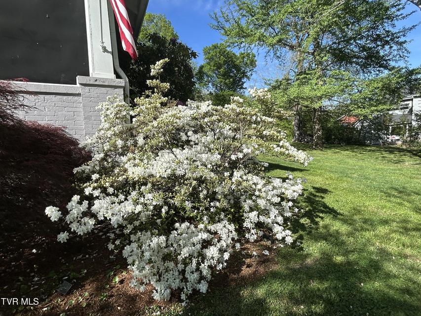 Photo #67: 210 Clifton Heights Road