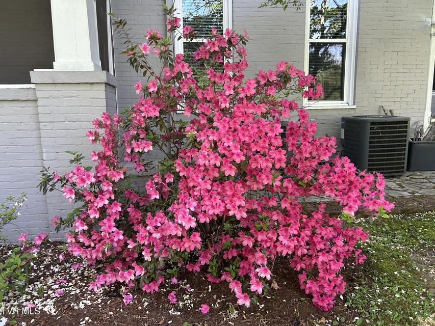 Photo #69: 210 Clifton Heights Road