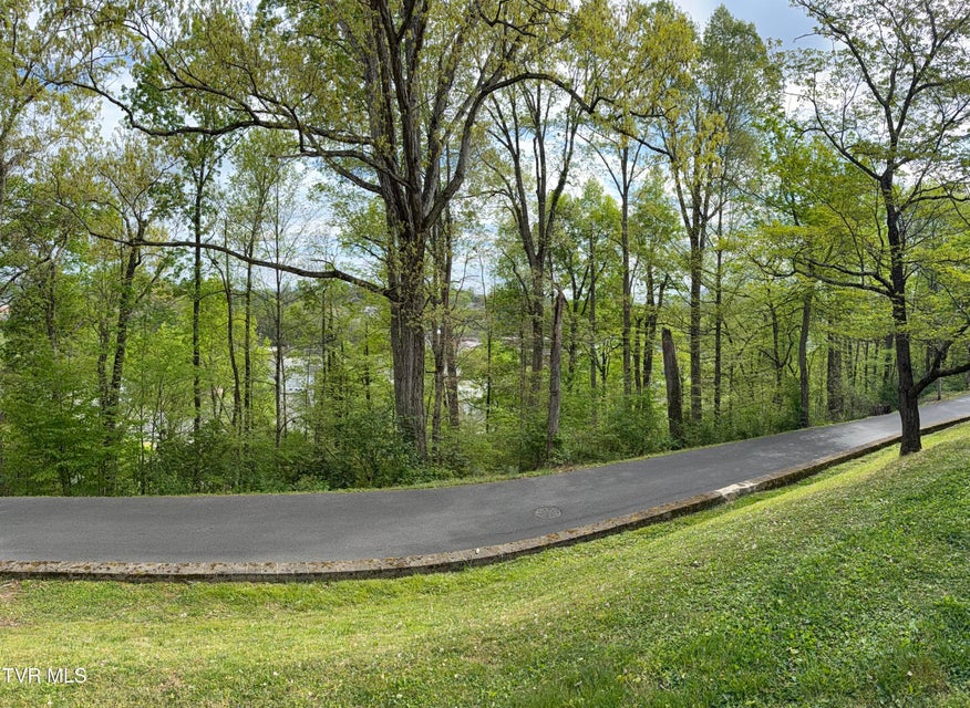 Photo #70: 210 Clifton Heights Road