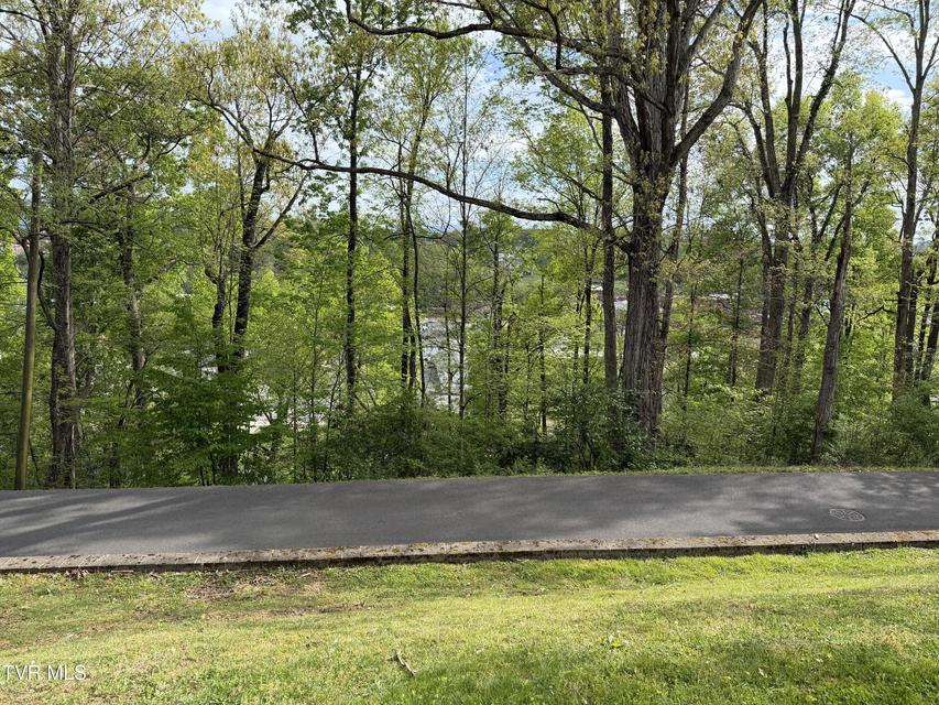 Photo #71: 210 Clifton Heights Road