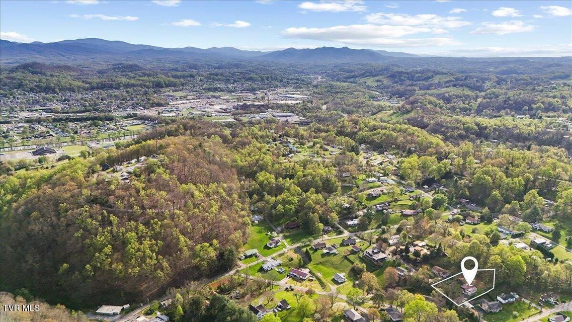 Photo #10: 161 Massey Street