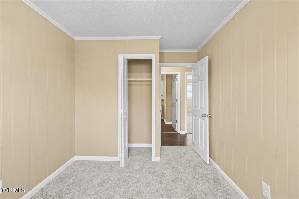 Photo #24: 161 Massey Street