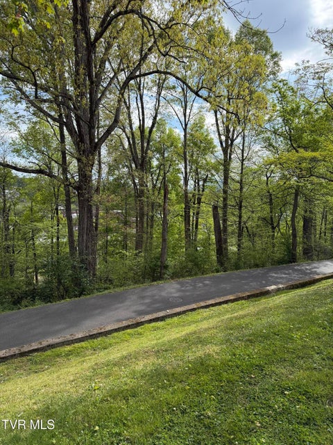 Photo #72: 210 Clifton Heights Road