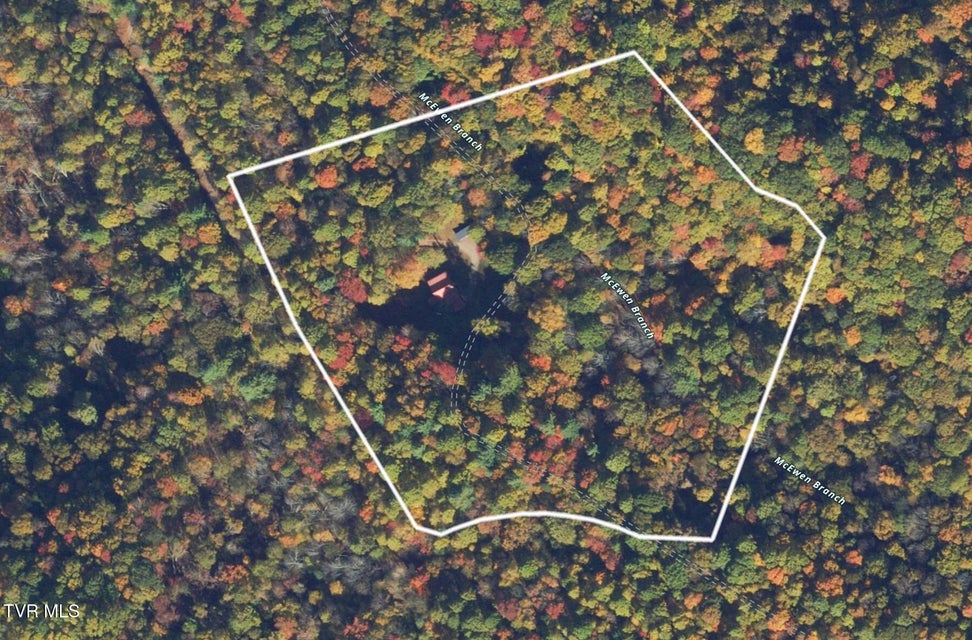 Photo #6: 501 Two Branch Lane