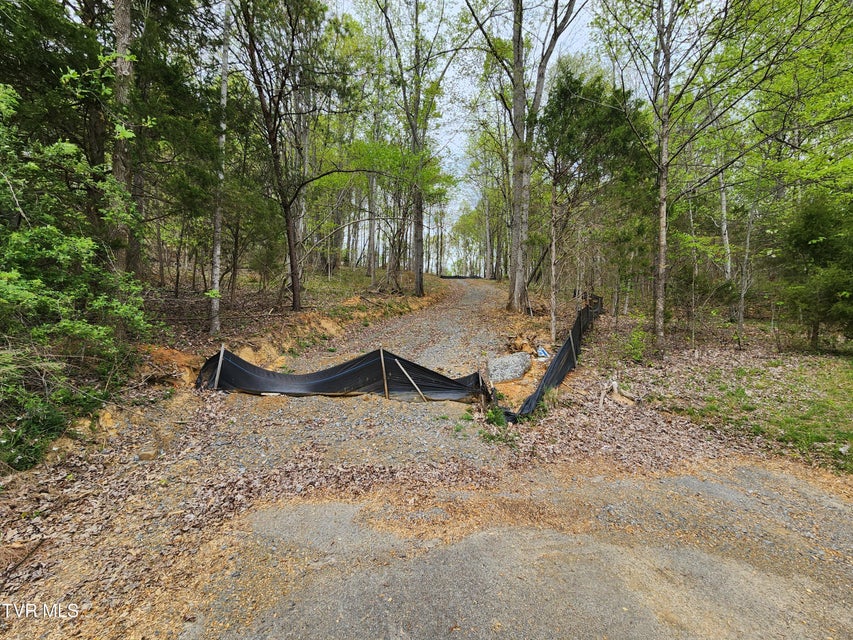 Photo #6: 345 Greentree Drive