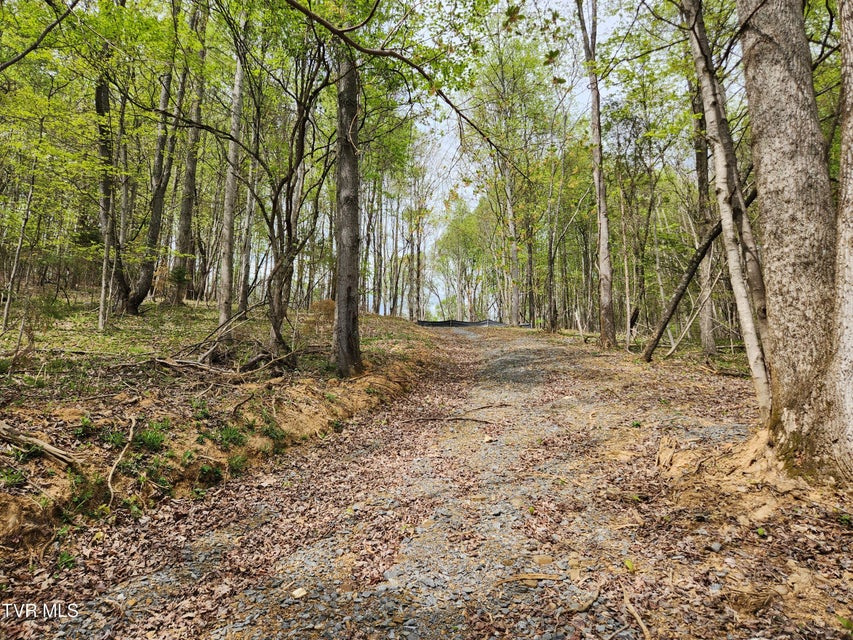 Photo #13: 345 Greentree Drive