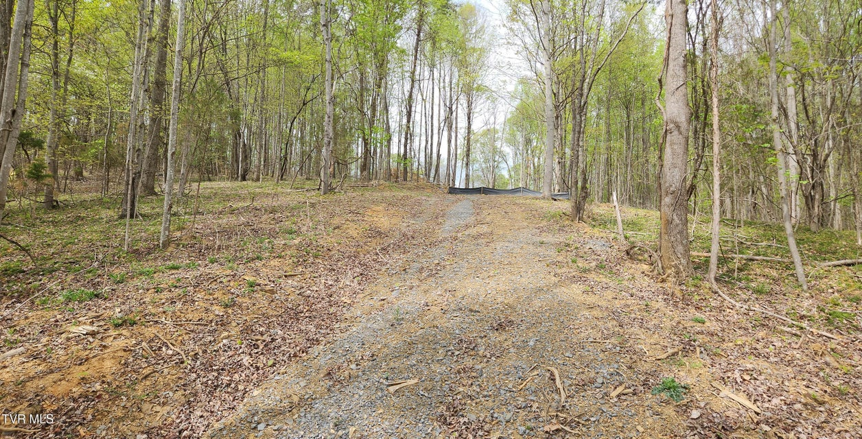 Photo #14: 345 Greentree Drive