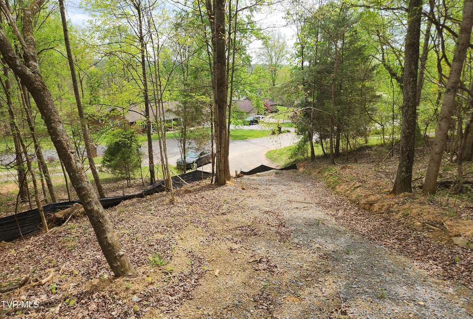 Photo #15: 345 Greentree Drive