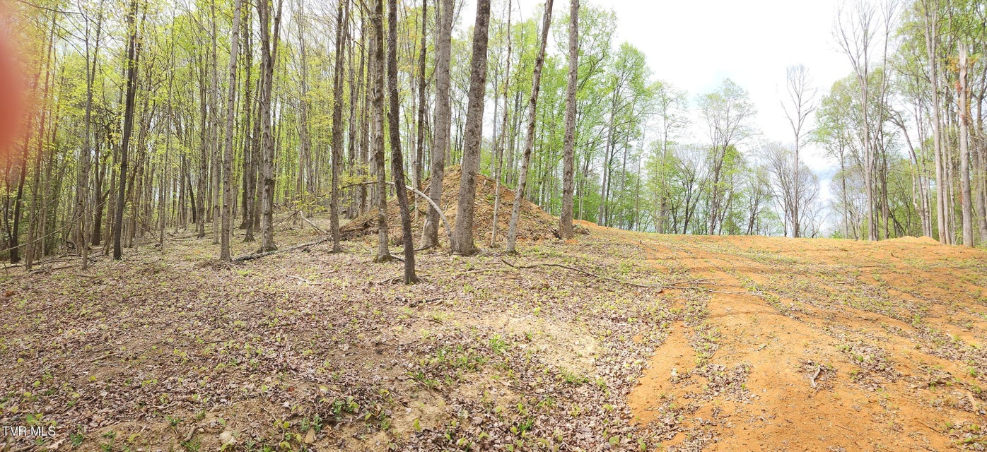 Photo #19: 345 Greentree Drive