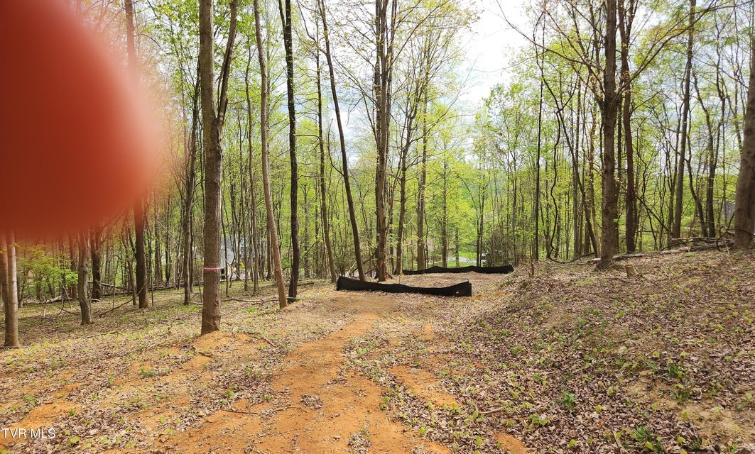 Photo #21: 345 Greentree Drive