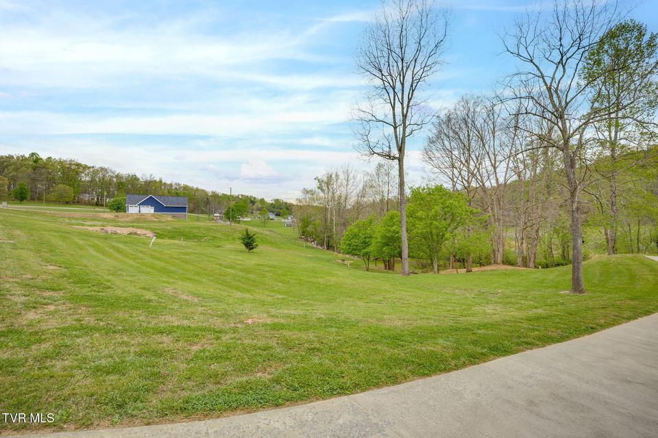 Photo #44: 747 Central Avenue