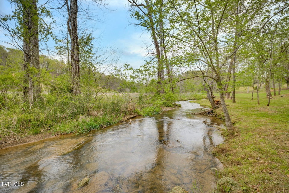 Photo #46: 747 Central Avenue