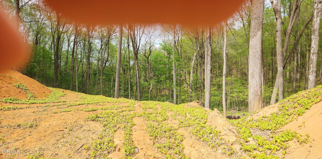 Photo #25: 345 Greentree Drive