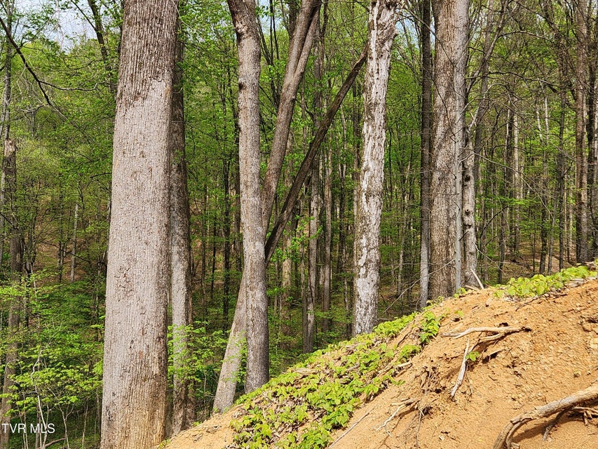 Photo #26: 345 Greentree Drive