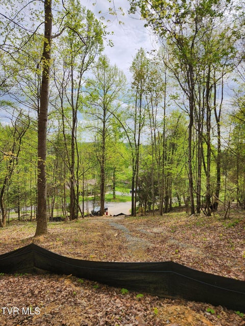 Photo #27: 345 Greentree Drive