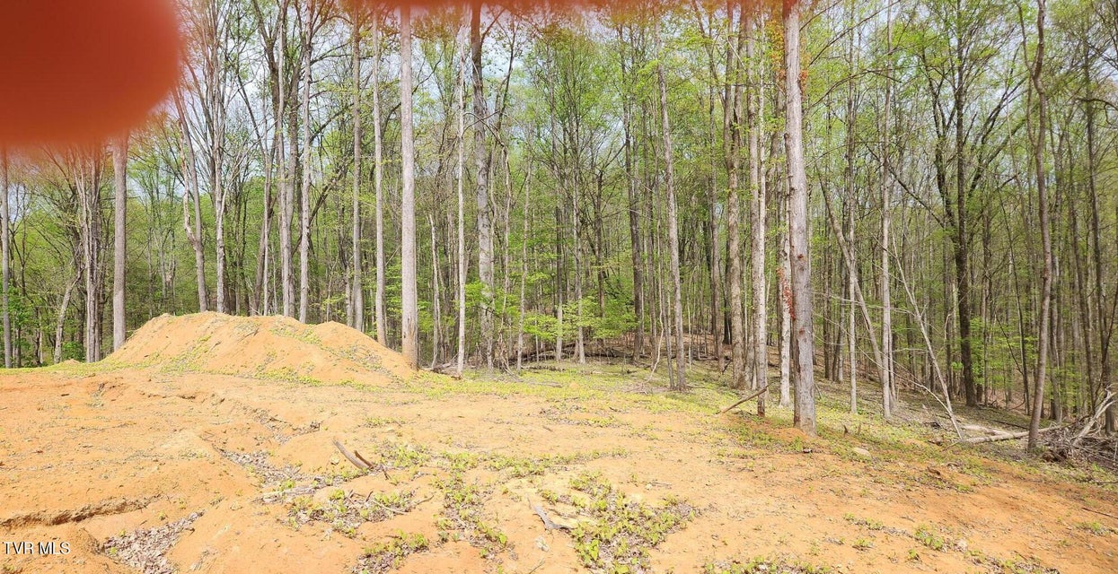 Photo #23: 345 Greentree Drive