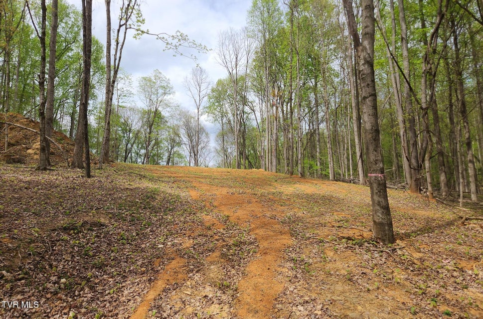 Photo #18: 345 Greentree Drive