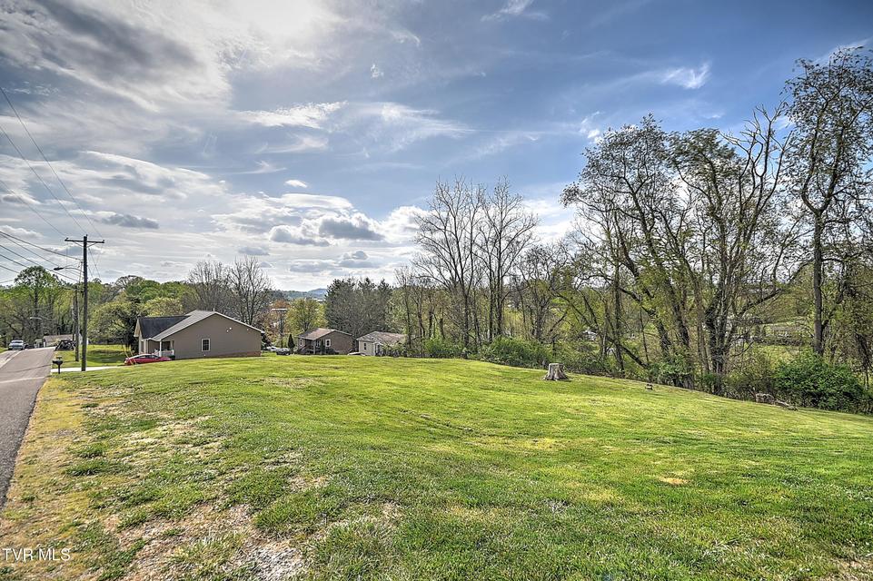 Photo #42: 245 Leonard Street