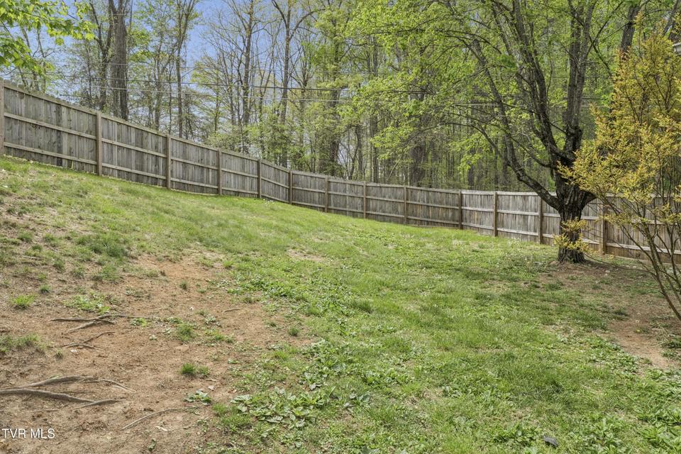 Photo #33: 1100 Skyline Drive