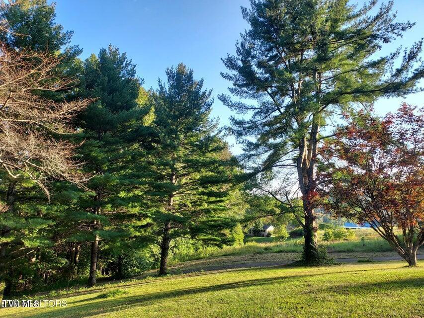 Photo #3: 379 Luther Villa Road