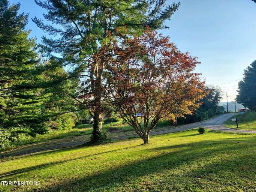 Photo #6: 379 Luther Villa Road