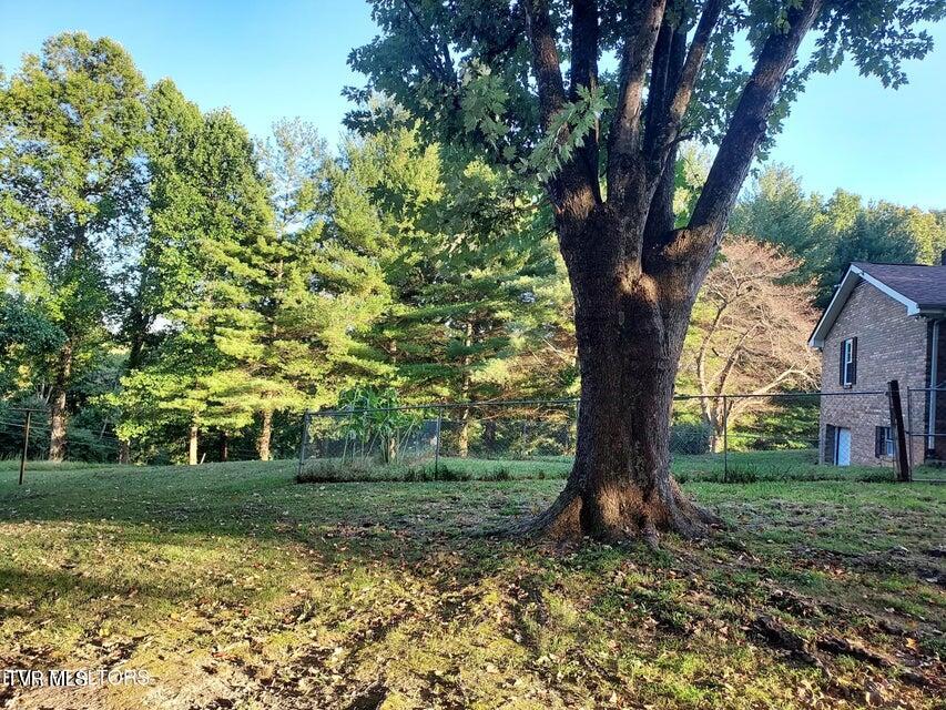 Photo #29: 379 Luther Villa Road