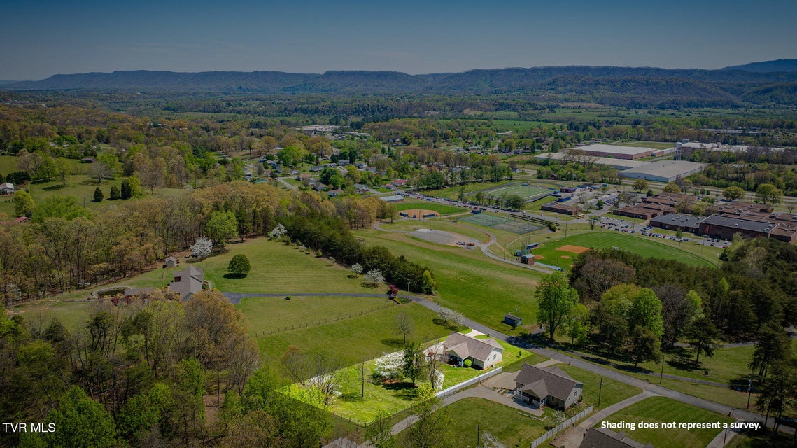 Photo #42: 1062 Caprice Street