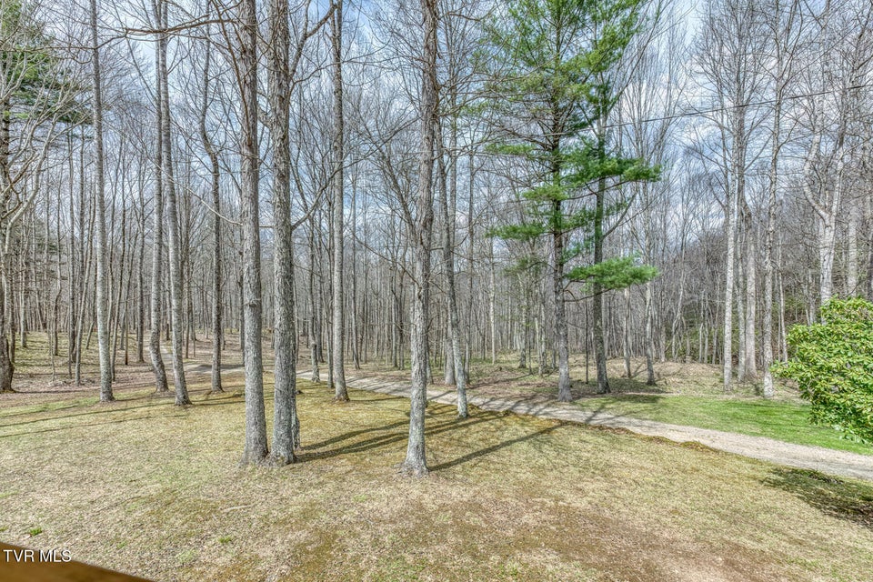 Photo #34: 501 Two Branch Lane