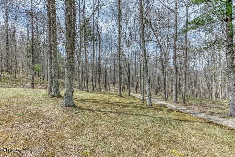 Photo #37: 501 Two Branch Lane