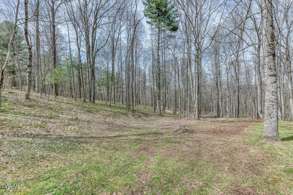 Photo #40: 501 Two Branch Lane