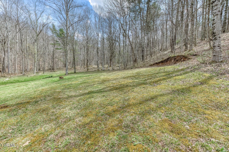 Photo #42: 501 Two Branch Lane