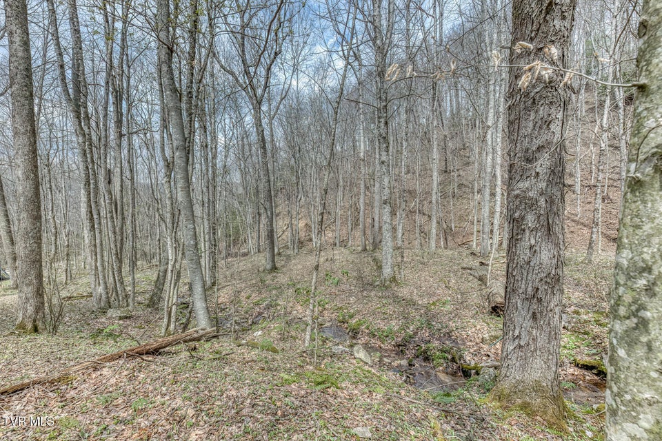 Photo #45: 501 Two Branch Lane