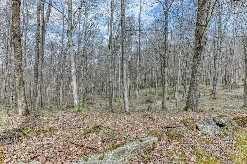 Photo #46: 501 Two Branch Lane