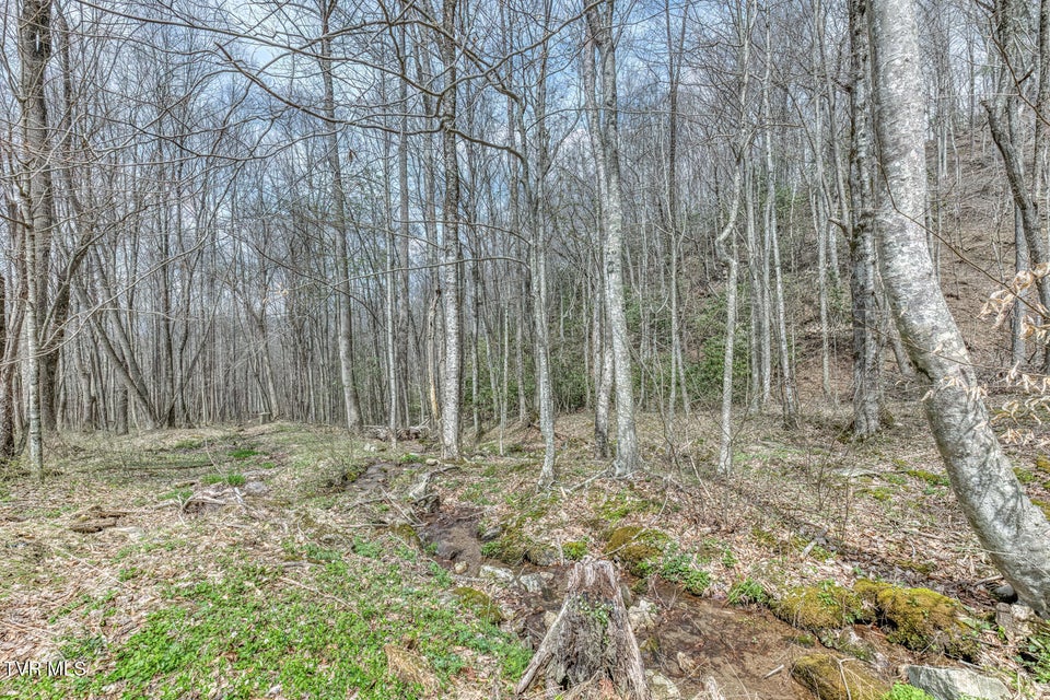 Photo #47: 501 Two Branch Lane