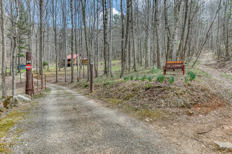 Photo #48: 501 Two Branch Lane