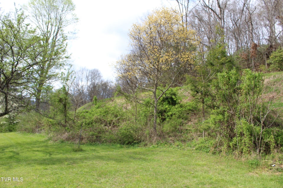 Photo #31: 4598 4550 Reeds Creek Road