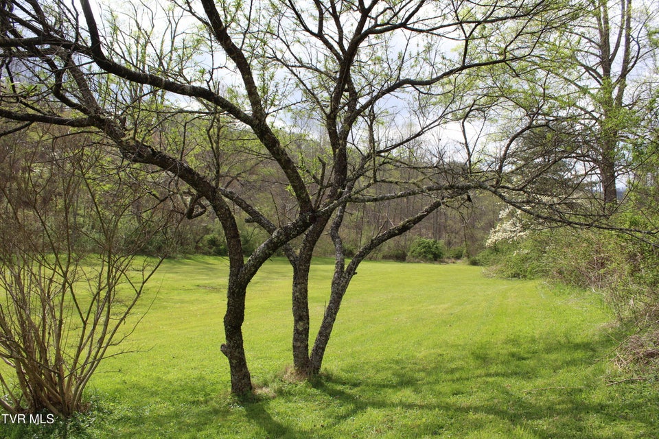 Photo #32: 4598 4550 Reeds Creek Road