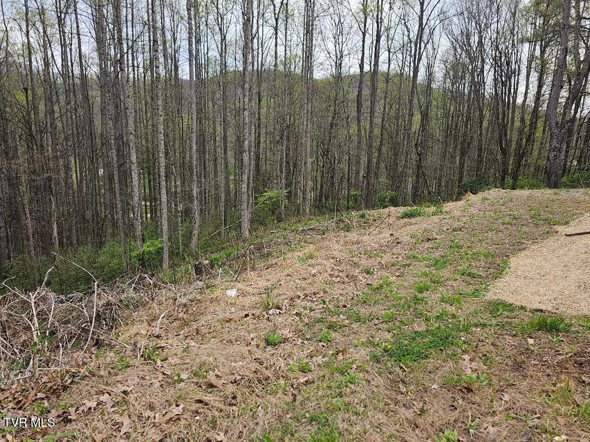 Photo #15: 12702 Crab Orchard Road