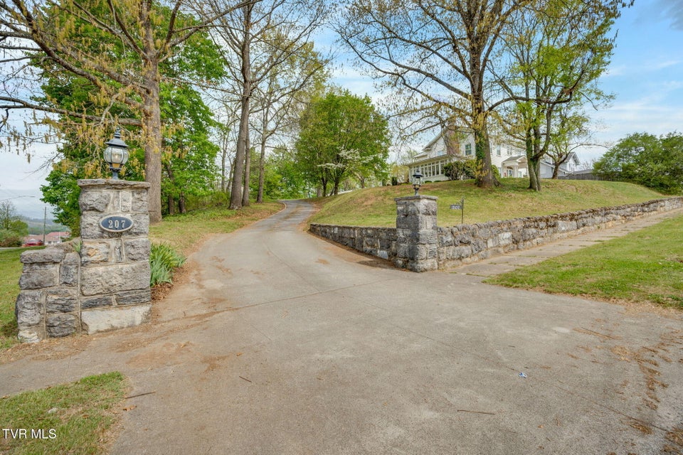 Photo #46: 207 Lynwood Street